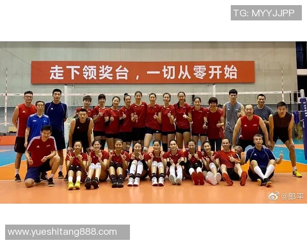杭州排球队的奋斗与荣耀：一段不平凡的排球纪实之旅