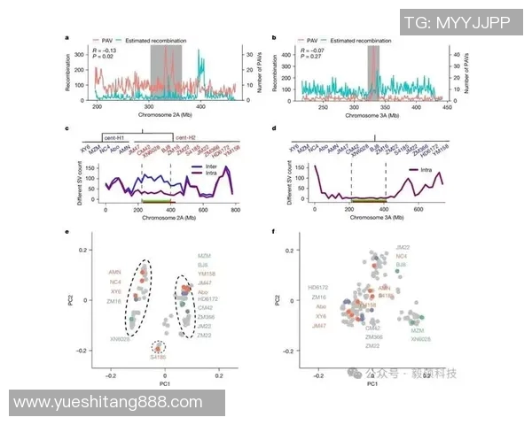 杭州滑板队耐力表现数据分析揭示训练效果与提升空间