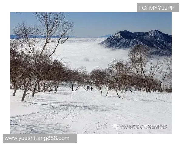 北海道勇士长野对决精彩纷呈赛季回顾与展望