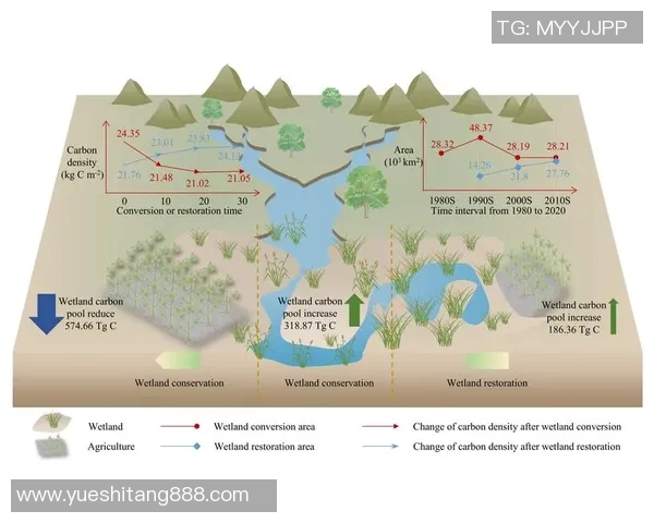 探索埃斯特旺的历史与文化魅力,揭示其独特的地理风貌与人文底蕴 探索埃斯特旺的历史与文化魅力,揭示其独特的地理风貌与人文底蕴