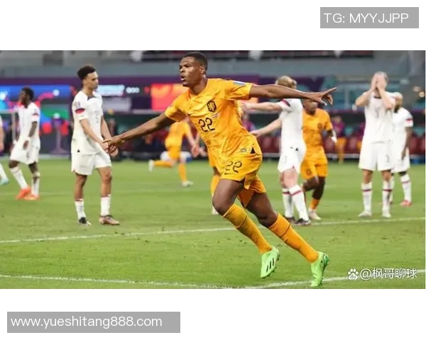 荷兰与墨西哥对决前瞻分析及预测结果展望