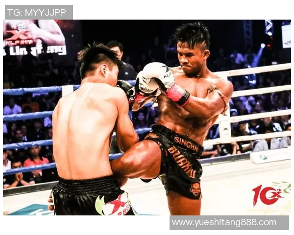 邹市明与播求巅峰对决谁将成为拳坛新王者的传奇之战