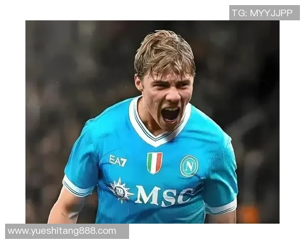 霍伊伦的传奇人生与时代变迁的交织探讨