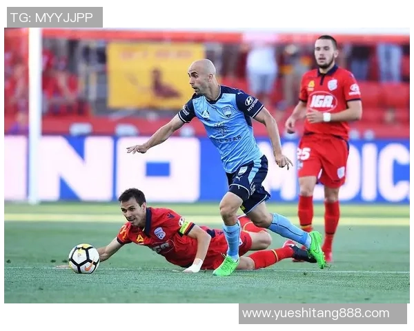 金泽塞维迎战横滨FC争夺联赛关键三分的激烈对决 金泽塞维迎战横滨FC争夺联赛关键三分的激烈对决