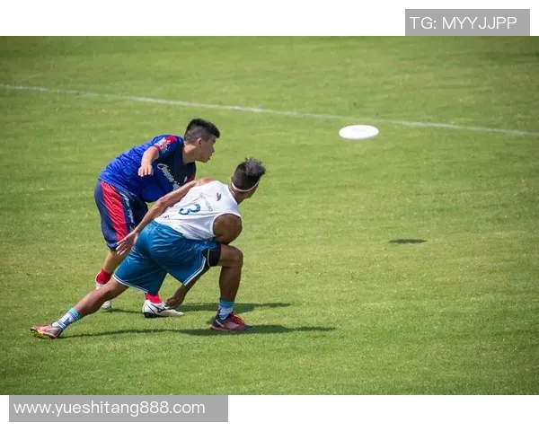 飞盘文化的魅力与传承：深入了解杭州飞盘队的团队精神与意识