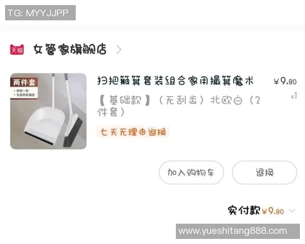 天猫与太阳的精彩对决分析及比赛策略探讨